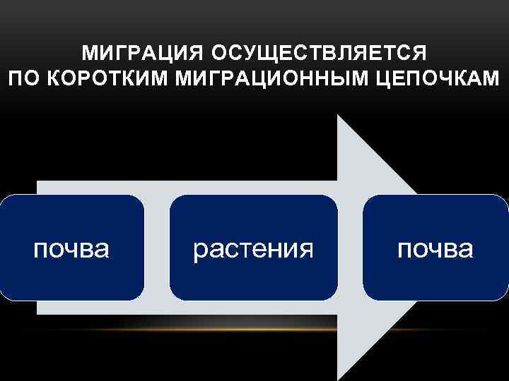 МИГРАЦИЯ ОСУЩЕСТВЛЯЕТСЯ ПО КОРОТКИМ МИГРАЦИОННЫМ ЦЕПОЧКАМ почва растения почва 