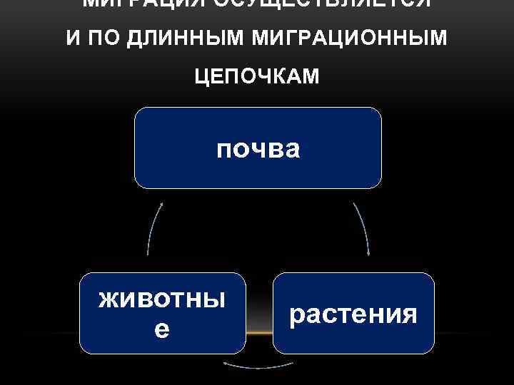 МИГРАЦИЯ ОСУЩЕСТВЛЯЕТСЯ И ПО ДЛИННЫМ МИГРАЦИОННЫМ ЦЕПОЧКАМ почва животны е растения 