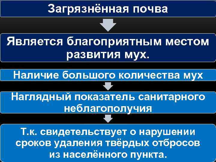 Загрязнённая почва Является благоприятным местом развития мух. Наличие большого количества мух Наглядный показатель санитарного