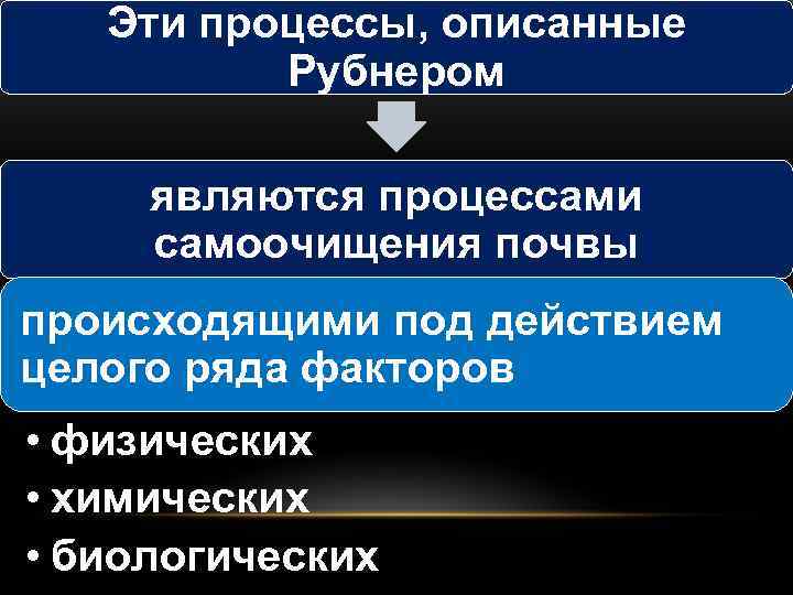 Эти процессы, описанные Рубнером являются процессами самоочищения почвы происходящими под действием целого ряда факторов