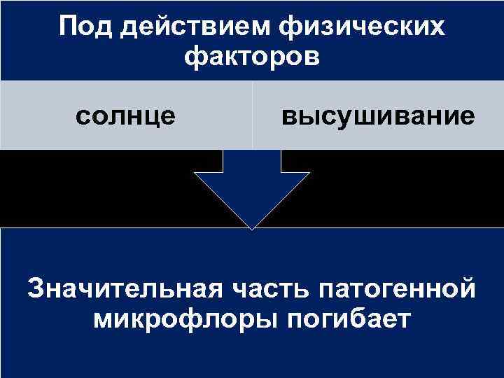 Под действием физических факторов солнце высушивание Значительная часть патогенной микрофлоры погибает 