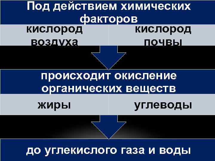 Под действием химических факторов кислород воздуха почвы происходит окисление органических веществ жиры углеводы до