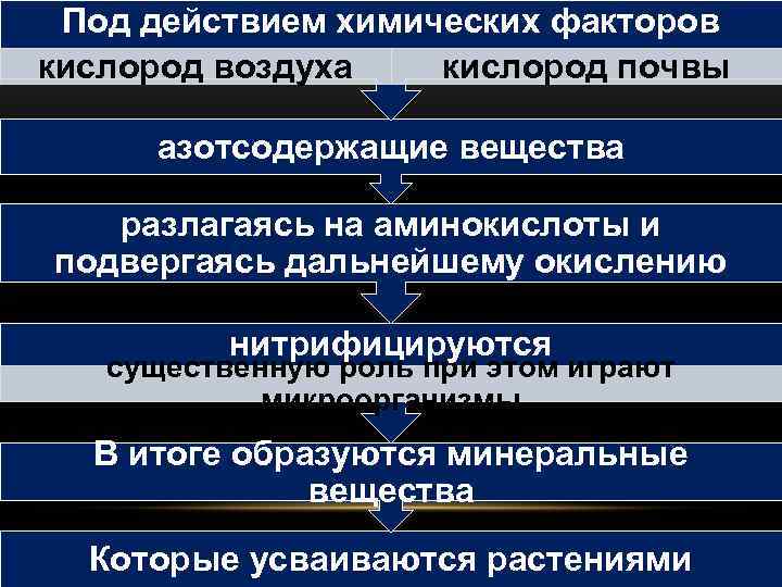 Под действием химических факторов кислород воздуха кислород почвы азотсодержащие вещества разлагаясь на аминокислоты и