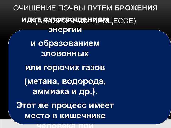 ОЧИЩЕНИЕ ПОЧВЫ ПУТЕМ БРОЖЕНИЯ идет с поглощением (АНАЭРОБНОМ ПРОЦЕССЕ) энергии и образованием зловонных или