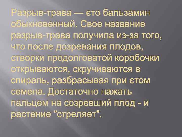 Разрыв-трава — это бальзамин обыкновенный. Свое название разрыв-трава получила из-за того, что после дозревания