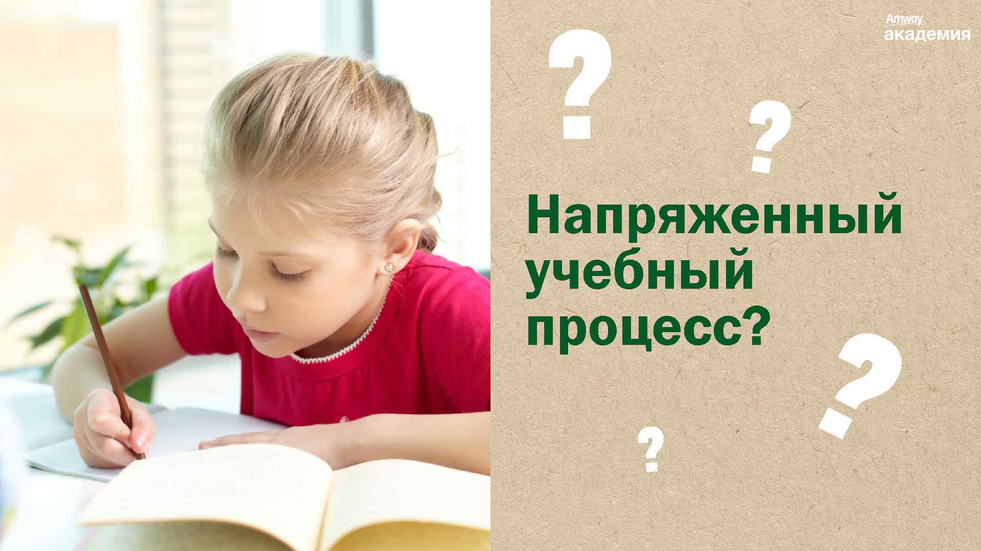 Напряженный учебный процесс? 