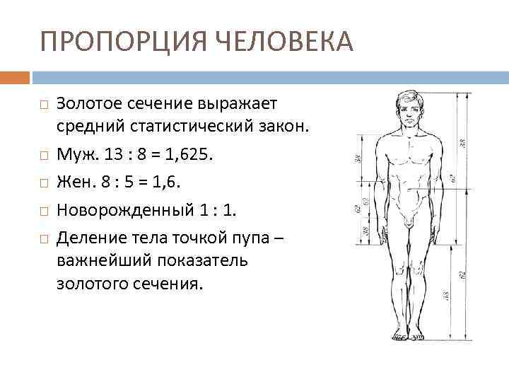 Сохранение пропорций картинки css