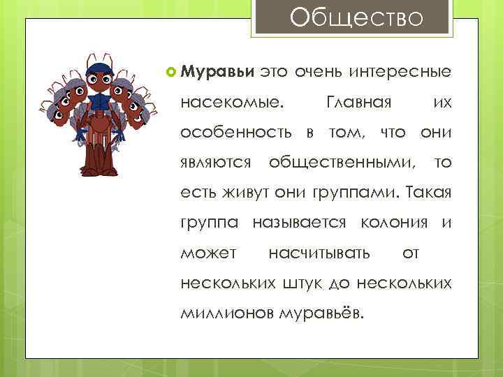 Общество Муравьи это насекомые. очень интересные Главная их особенность в том, что они являются