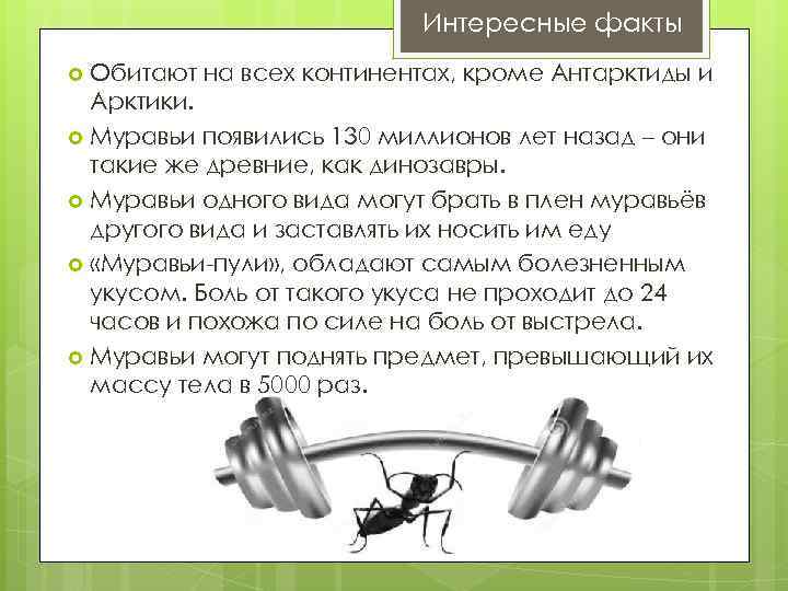 Интересные факты Обитают на всех континентах, кроме Антарктиды и Арктики. Муравьи появились 130 миллионов