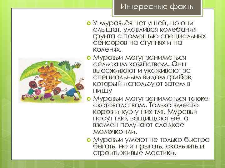 Интересные факты У муравьёв нет ушей, но они слышат, улавливая колебания грунта с помощью