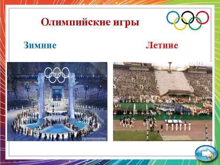 Олимпийские игры Зимние Летние 