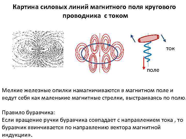 Образование картины из железных опилок вблизи проводника говорит о