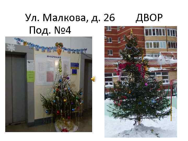 Ул. Малкова, д. 26 Под. № 4 ДВОР 