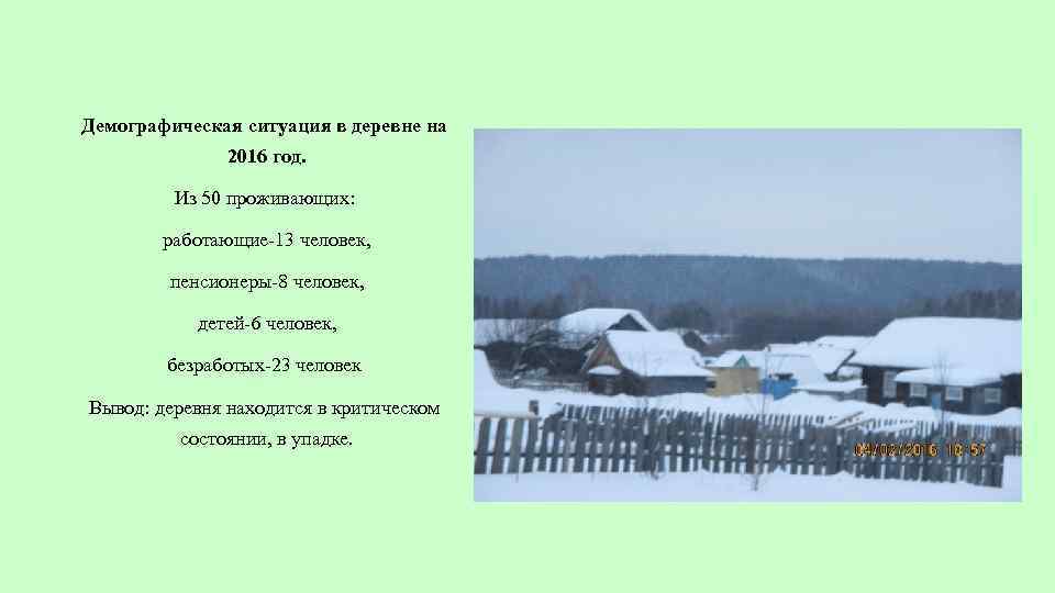 Демографическая ситуация в деревне на 2016 год. Из 50 проживающих: работающие-13 человек, пенсионеры-8 человек,