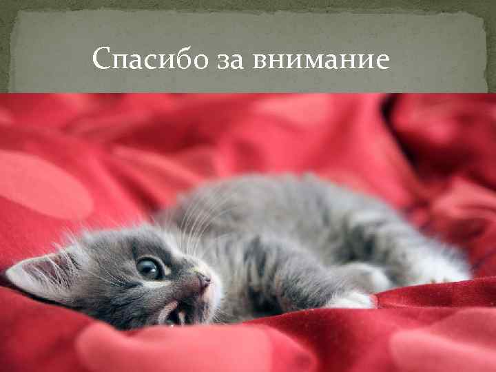 Спасибо за внимание 