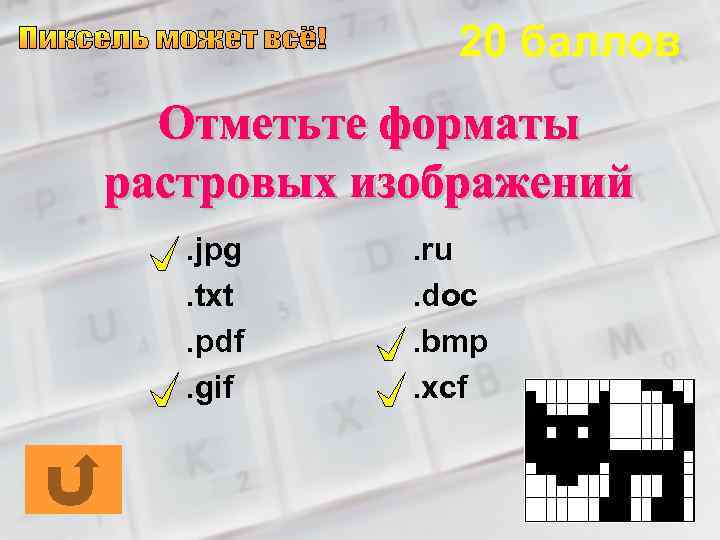 20 баллов . jpg. txt. pdf. gif . ru. doc. bmp. xcf 