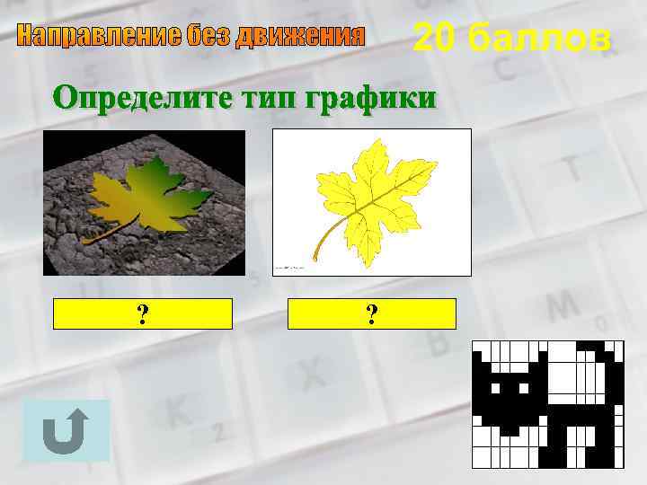 20 баллов векторная ? растровая ? 