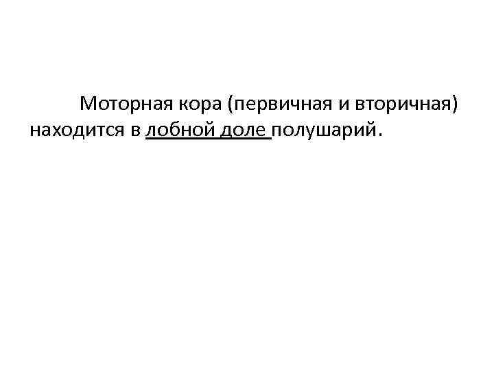 Моторная кора (первичная и вторичная) находится в лобной доле полушарий. 