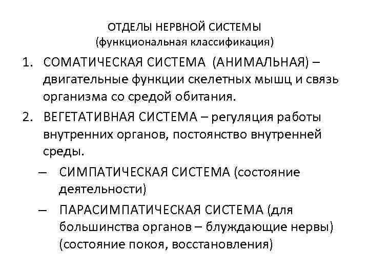 ОТДЕЛЫ НЕРВНОЙ СИСТЕМЫ (функциональная классификация) 1. СОМАТИЧЕСКАЯ СИСТЕМА (АНИМАЛЬНАЯ) – двигательные функции скелетных мышц