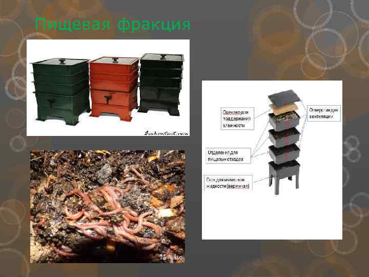 Пищевая фракция 