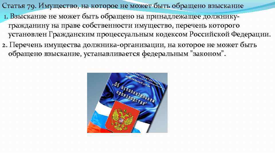 Взыскание не может быть обращено на имущество. Виды доходов на которые не может быть обращено взыскание. Статья 79 имущество на которое не может быть обращено взыскание. Имущество должника, на которое может быть обращено взыскание. Виды имущества на которое может быть обращено взыскание.