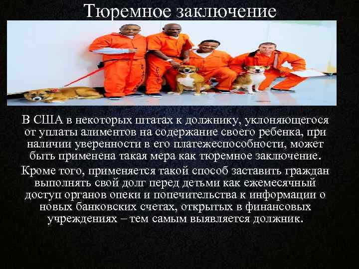 Тюремное заключение В США в некоторых штатах к должнику, уклоняющегося от уплаты алиментов на