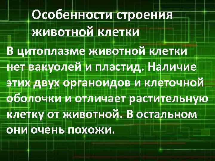 Особенности строения животной клетки В цитоплазме животной клетки нет вакуолей и пластид. Наличие этих