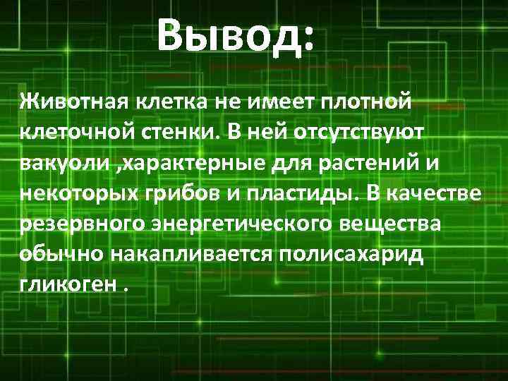 Вывод: Животная клетка не имеет плотной клеточной стенки. В ней отсутствуют вакуоли , характерные