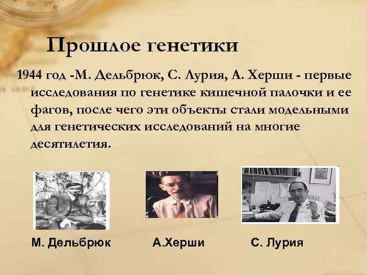 Прошлое генетики 1944 год -М. Дельбрюк, С. Лурия, А. Херши - первые исследования по