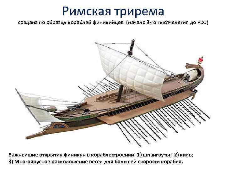 Римская трирема создана по образцу кораблей финикийцев (начало 3 -го тысячелетия до Р. Х.