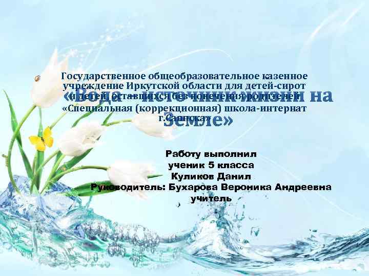 Государственное общеобразовательное казенное учреждение Иркутской области для детей-сирот и детей, оставшихся без попечения родителей