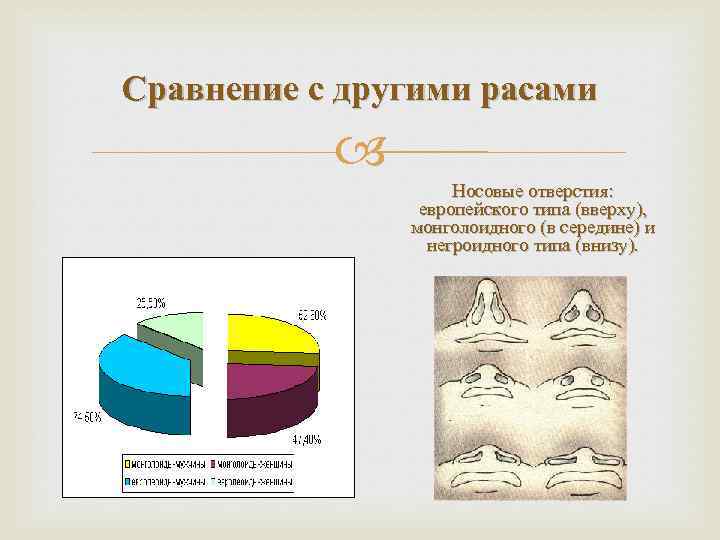 Сравнение с другими расами Носовые отверстия: европейского типа (вверху), монголоидного (в середине) и негроидного