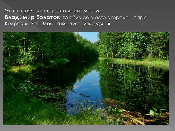 Этот сказочный островок любят многие. Владимир Болотов: «Любимое место в городе – парк Кедровый