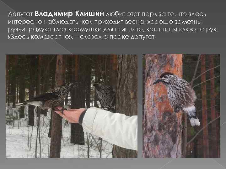 Депутат Владимир Клишин любит этот парк за то, что здесь интересно наблюдать, как приходит