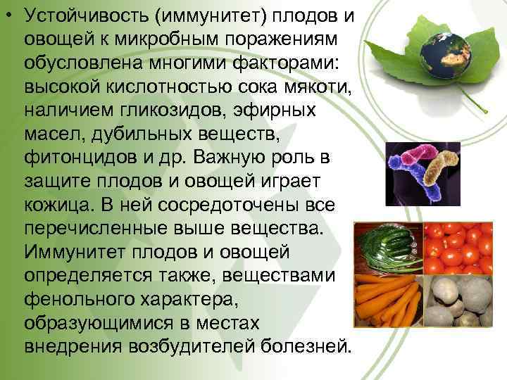 Комплексное использование плодов и овощей