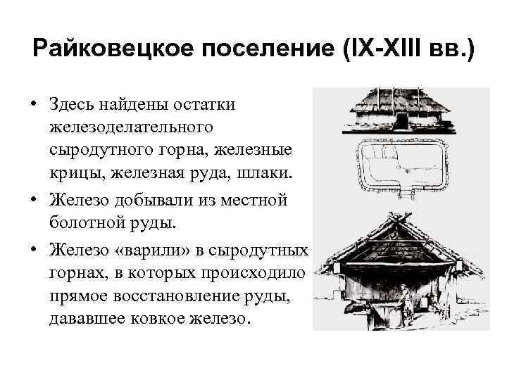 Райковецкое поселение (IX-XIII вв. ) • Здесь найдены остатки железоделательного сыродутного горна, железные крицы,