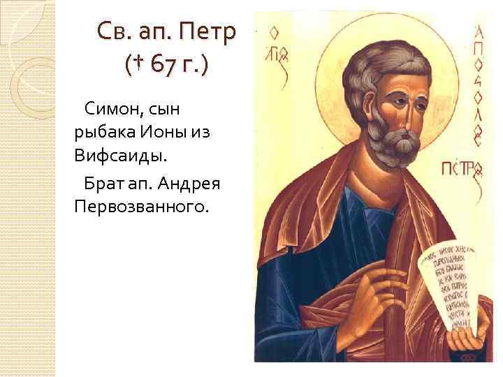 Св. ап. Петр († 67 г. ) Симон, сын рыбака Ионы из Вифсаиды. Брат