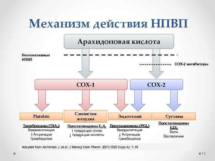 Механизм действия НПВП Арахидоновая кислота Неселективные НПВП COX-2 ингибиторы COX-1 Platelets Тромбоксаны (TXA 2)