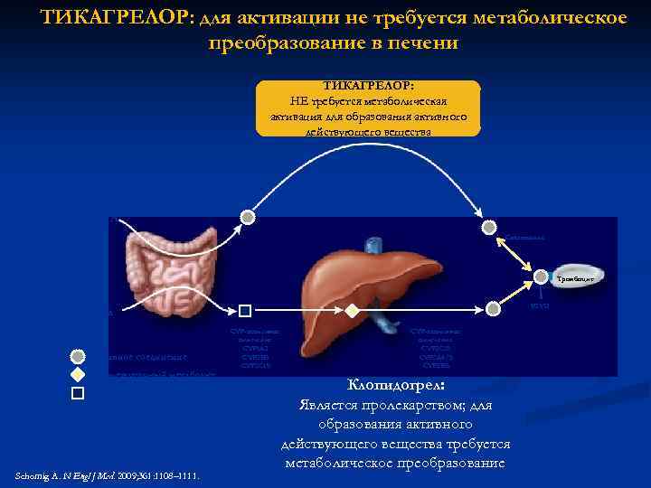 ТИКАГРЕЛОР: для активации не требуется метаболическое преобразование в печени ТИКАГРЕЛОР: НЕ требуется метаболическая активация