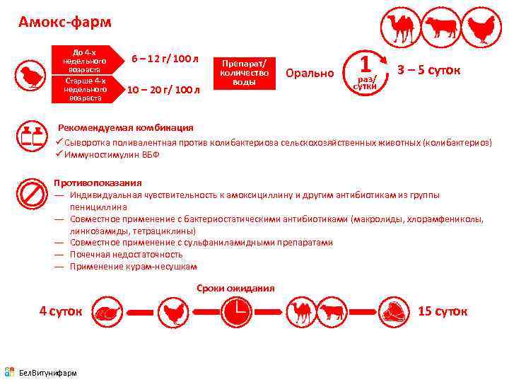 Амокс-фарм До 4 -х недельного возраста Старше 4 -х недельного возраста 6 – 12