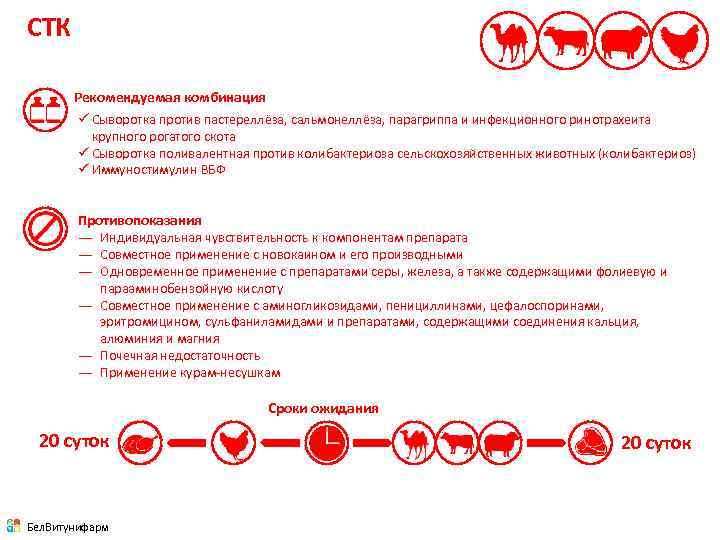 СТК Рекомендуемая комбинация ü Сыворотка против пастереллёза, сальмонеллёза, парагриппа и инфекционного ринотрахеита крупного рогатого