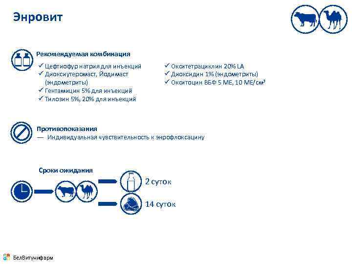 Энровит Рекомендуемая комбинация ü Цефтиофур натрия для инъекций ü Диоксиутеромаст, Йодимаст (эндометриты) ü Гентамицин