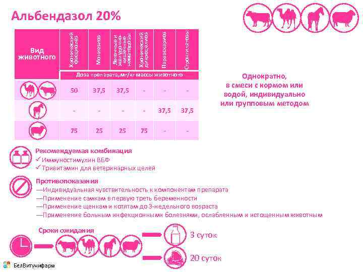 Стронгилятозы Парааскариоз Хронический дикроцелиоз Легочные и желудочнокишечные нематодозы Мониезиоз Вид животного Хронический фасциолёз Альбендазол