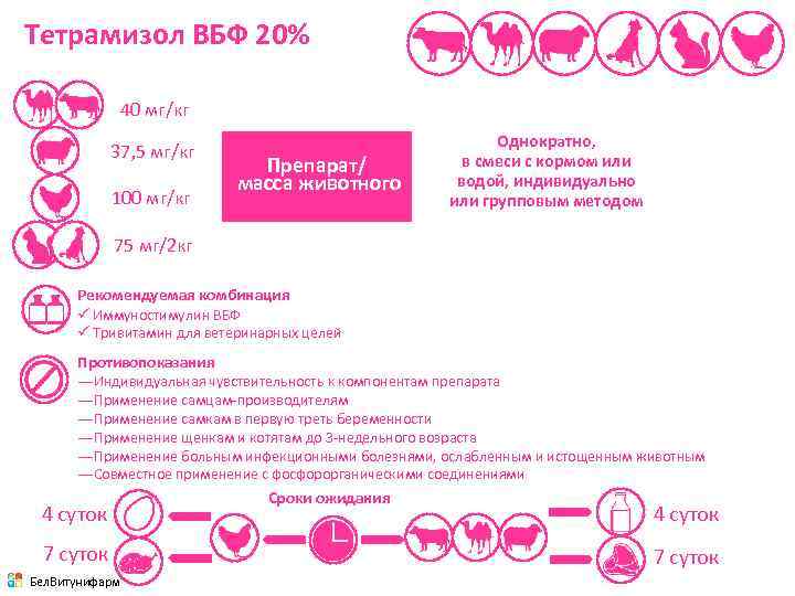 Тетрамизол ВБФ 20% 40 мг/кг 37, 5 мг/кг 100 мг/кг Препарат/ масса животного Однократно,