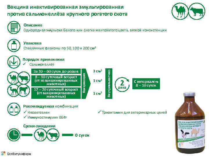 Вакцина инактивированная эмульгированная против сальмонеллёза крупного рогатого скота Описание Однородная эмульсия белого или слегка