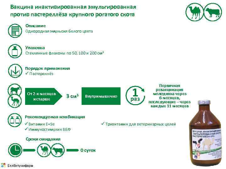 Схема вакцинации крс