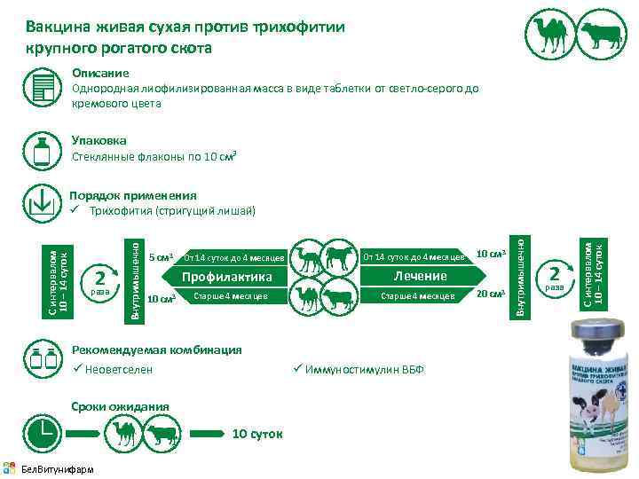 Сухой живой. Вакцина Живая сухая против трихофитии КРС 10 доз. Вакцина Живая сухая против трихофитии КРС БЕЛВИТУНИФАРМ. Вакцина ЛТФ-130 трихофитии КРС сухая Живая. Вакцина против трихофитоза крупного рогатого скота.