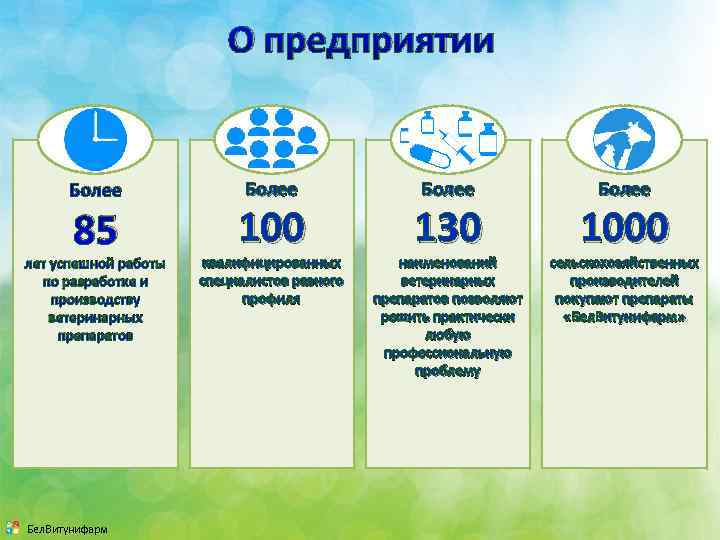 О предприятии Более 85 лет успешной работы по разработке и производству ветеринарных препаратов Бел.