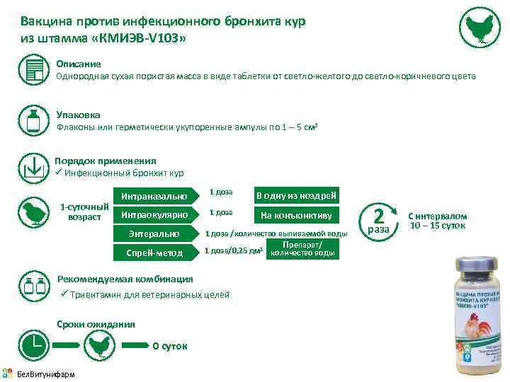 Вакцина против инфекционного бронхита кур из штамма «КМИЭВ-V 103» Описание Однородная сухая пористая масса