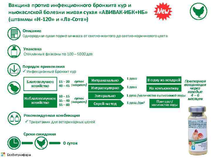 Вакцина против инфекционного бронхита кур и ньюкаслской болезни живая сухая «АВИВАК-ИБК+НБ» (штаммы «Н-120» и